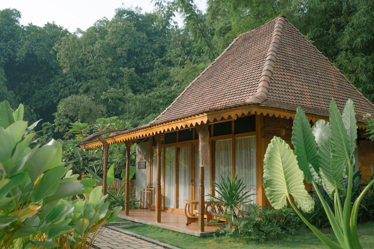 Chandaka Borobudur Magelang Dış mekan fotoğraf